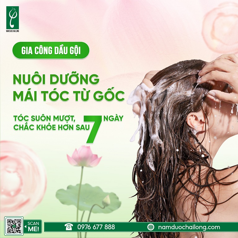 Gia công dầu gội siêu mượt