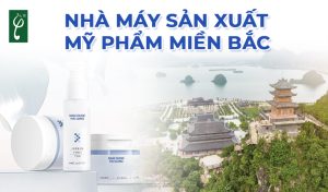 Nhà máy sản xuất mỹ phẩm miền Bắc