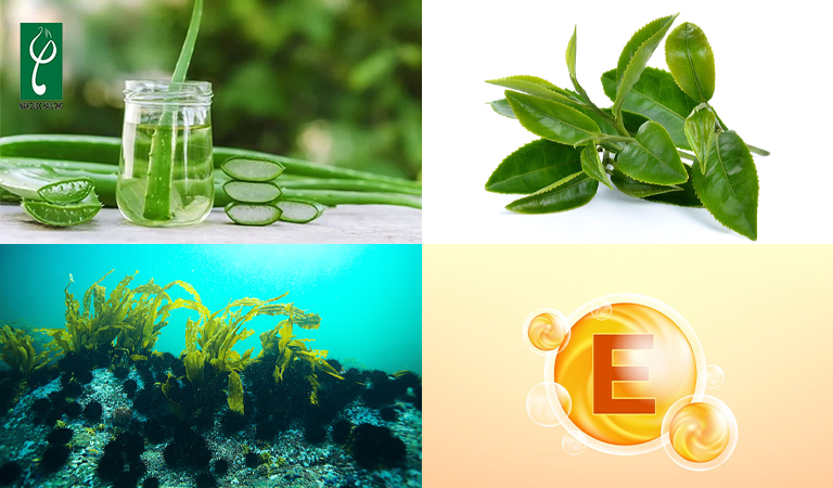 gia công kem dưỡng da uy tín