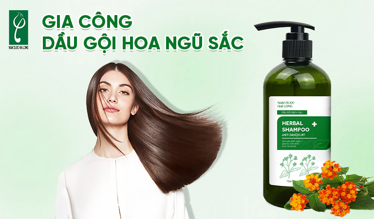 gia công dầu gội hoa ngũ sắc