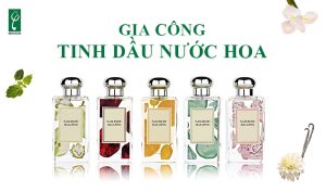 Gia công tinh dầu nước hoa