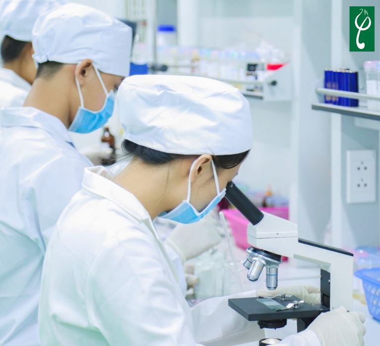 Gia công lăn khử mùi không paraben cần kiểm soát bảo quản, nguyên liệu, đảm bảo chuẩn CGMP