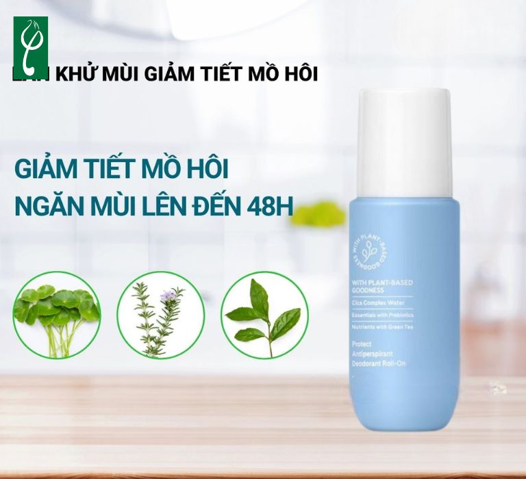 Gia công lăn khử mùi tinh dầu nguyên chất, công thức độc quyền nhu cau gia cong lan khu mui tinh dau