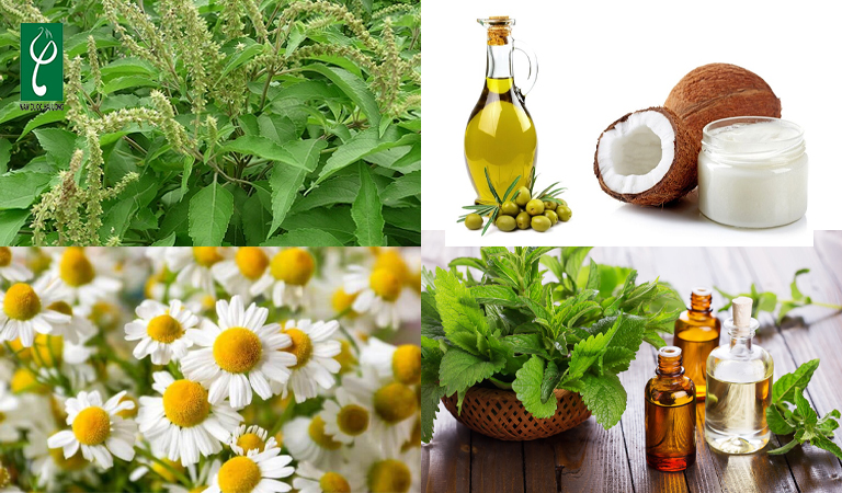 Thành phần được sử dụng để gia công sữa tắm thảo mộc gia công sữa tắm thảo mộc