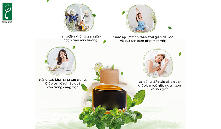 gia công nước hoa để phòng