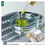 Gia công serum thảo dược