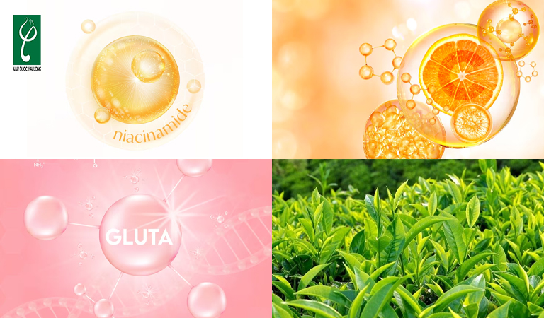 Nguyên liệu được Nam Dược Hải Long sử dụng để sản xuất mặt nạ trắng da gia công mặt nạ trắng da