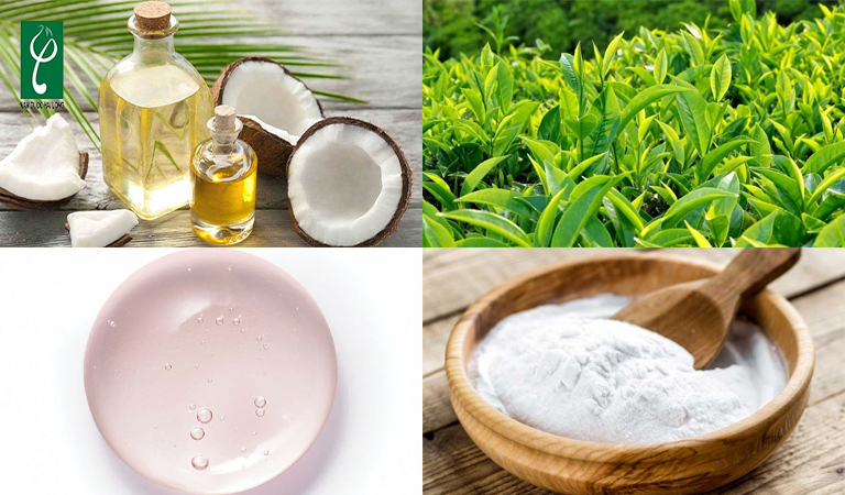 Thành phần được sử dụng để sản xuất dầu tắm thảo dược gia công dầu tắm thảo dược