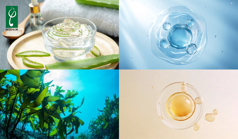 Nguyên liệu được Nam Dược Hải Long sử dụng để gia công mặt nạ giấy gia công mặt nạ giấy