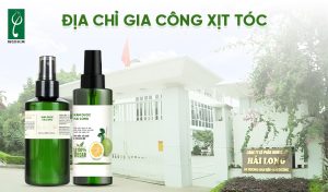 địa chỉ gia công xịt tóc