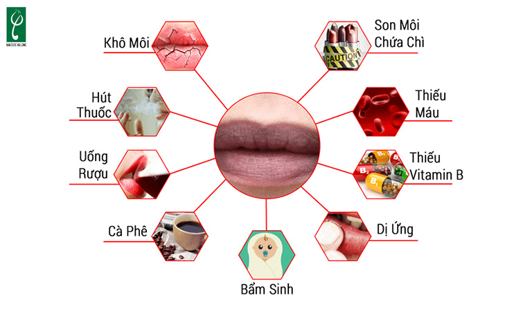 Nguyên nhân phổ biến khiến môi trở nên thâm sạm cách trị thâm môi tại nhà