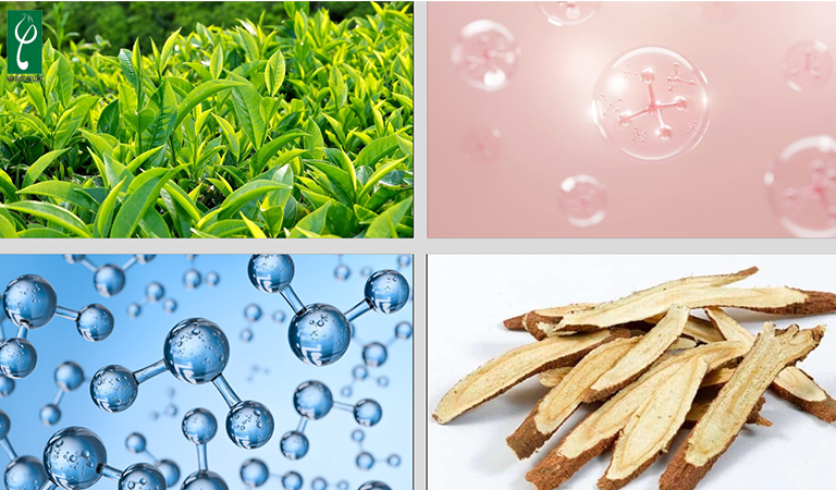 gia công sữa rửa mặt trị nám