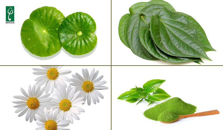 Nhà máy gia công sữa tắm em bé thiên nhiên chuẩn CGMP, lành tính với làn da nhạy cảm gia công sữa tắm em bé thiên nhiên