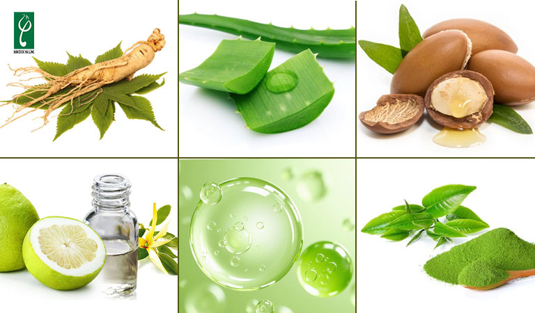Nam Dược Hải Long - Xưởng sản xuất xịt tóc trọn gói và nuôi dưỡng mái tóc an toàn Xưởng sản xuất xịt tóc
