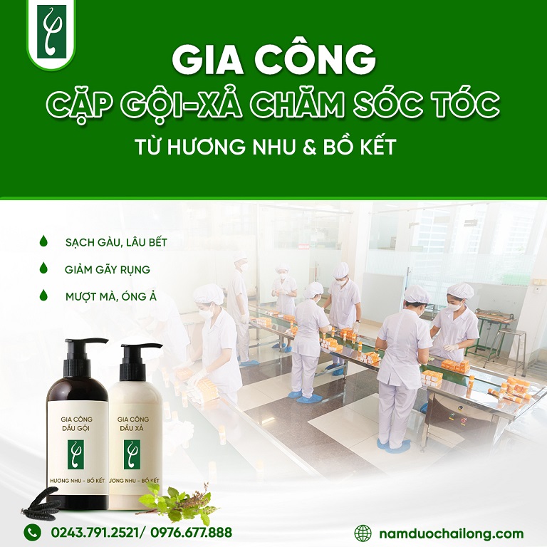 Sản xuất dầu gội ngăn rụng tóc giúp chủ đầu tư đáp ứng xu hướng tiêu dùng xanh, thu hút khách hàng tiềm năng