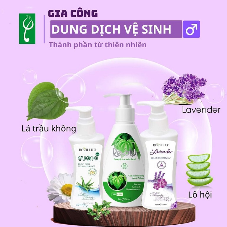 Gia công dung dịch vệ sinh lá trầu không thiên nhiên theo yêu cầu thương hiệu Nam dược Hải Long - Nhà máy gia công dung dịch vệ sinh lá trầu không chuyên nghiệp