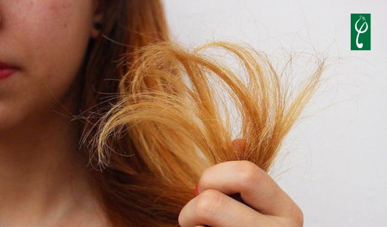 Cách làm sạch keo xịt tóc ngay tại nhà, không gây hư tổn Làm sạch keo xịt tóc không đúng cách khiến tóc xơ rối, chẻ ngọn