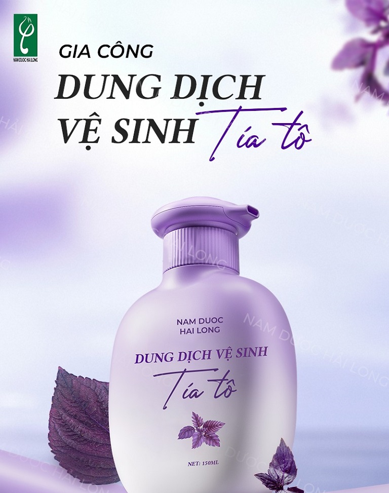 Dịch vụ gia công dung dịch vệ sinh tía tô trọn gói, độc quyền tại Nam dược Hải Long Nam dược Hải Long - Nhà máy gia công dung dịch vệ sinh tía tô chuyên nghiệp