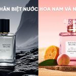 phân biệt nước hoa nam và nữ