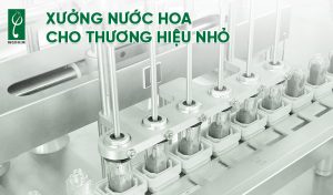 Xưởng nước hoa cho thương hiệu nhỏ