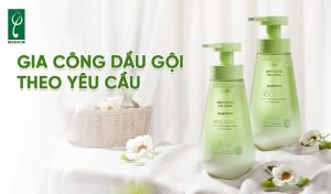 gia công dầu gội theo yêu cầu