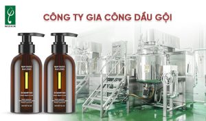 Công ty gia công dầu gội