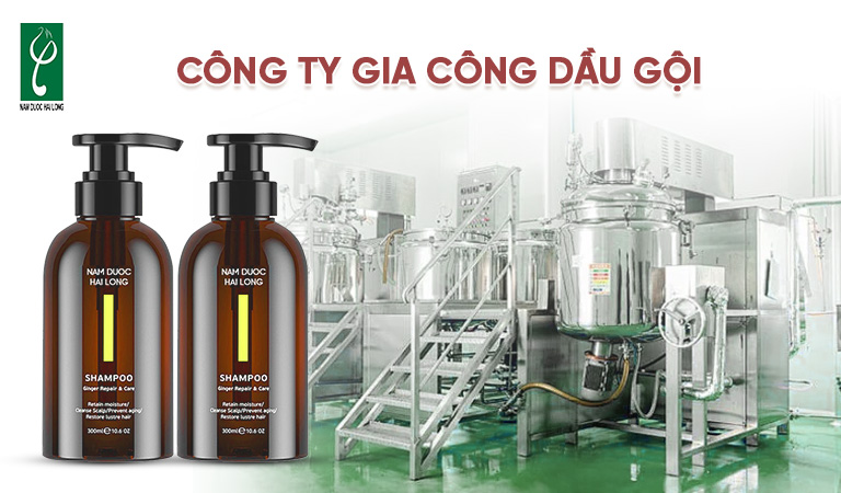 Công ty gia công dầu gội