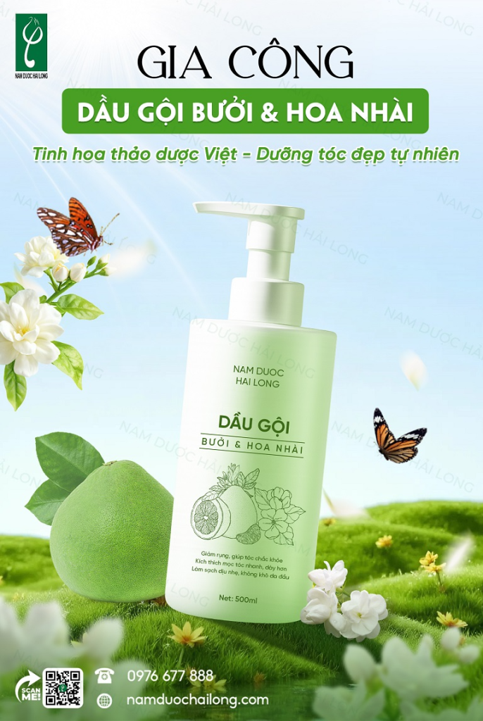 Nam Dược Hải Long hỗ trợ phát triển dầu gội nhãn hàng riêng, đa dạng công thức
