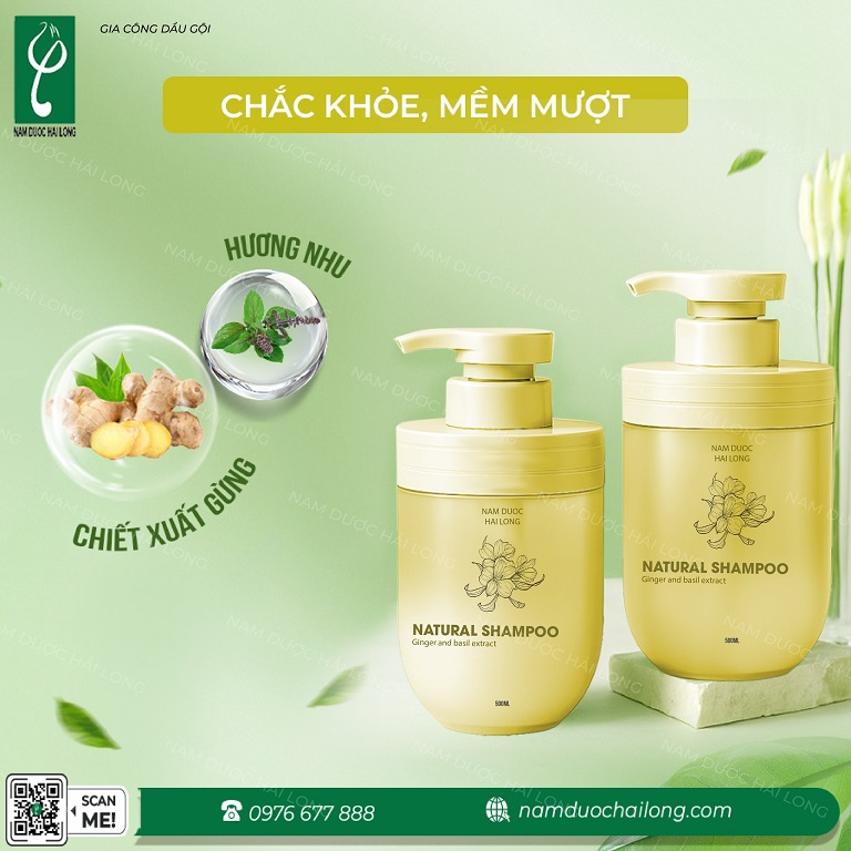 Các loại dầu gội được sản xuất phổ biến