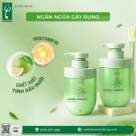 sản xuất dầu gội thương hiệu riêng