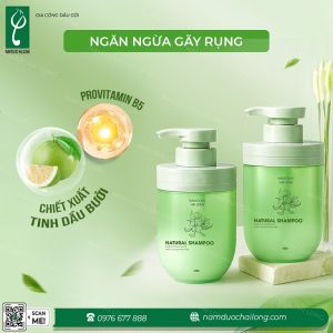 sản xuất dầu gội thương hiệu riêng