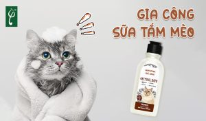 gia công sữa tắm mèo