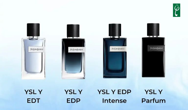Phân loại nước hoa dựa trên nồng độ tinh dầu