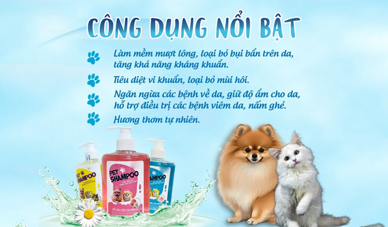 gia công sữa tắm mèo