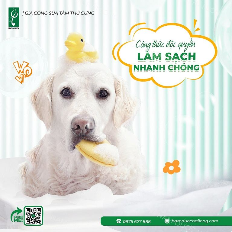 Sữa tắm chuyên dụng cho chó là sản phẩm làm sạch, hỗ trợ chăm sóc sức khỏe da và lông cho vật nuôi