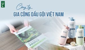 công ty gia công dầu gội Việt Nam