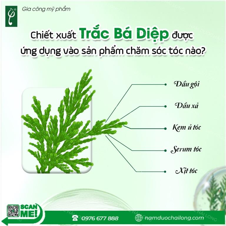 Nam Dược Hải Long gia công đa dạng công thức dầu gội thiên nhiên và chăm sóc tóc