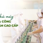 Nhà máy gia công mỹ phẩm cao cấp