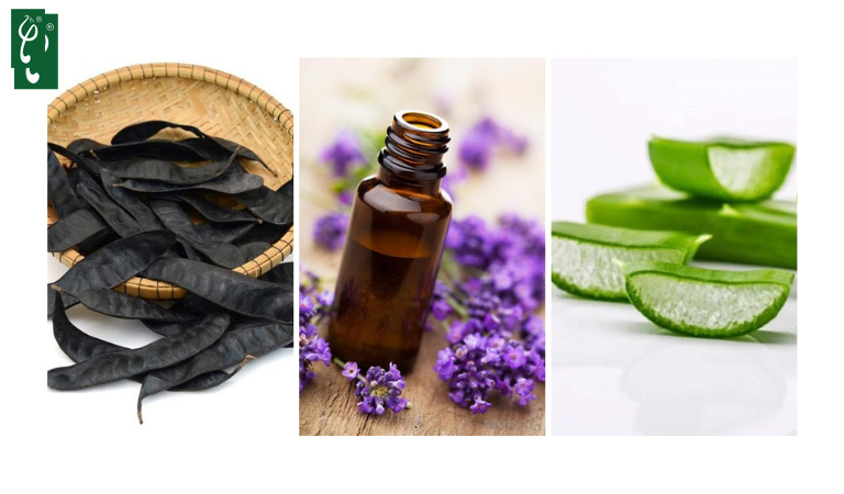 nhà máy gia công dầu gội thiên nhiên