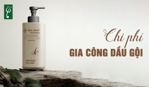 chi phí gia công dầu gội