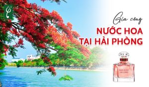 Gia công nước hoa tại Hải Phòng
