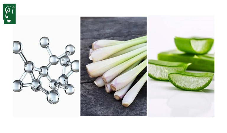 Gia công sữa tắm chống khuẩn