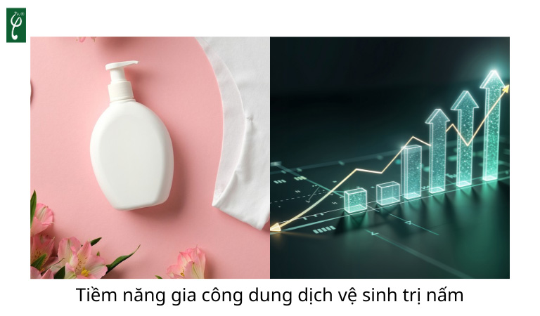 gia công dung dịch vệ sinh trị nấm