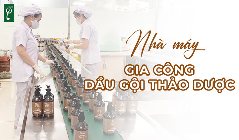 Nhà máy gia công dầu gội dược liệu