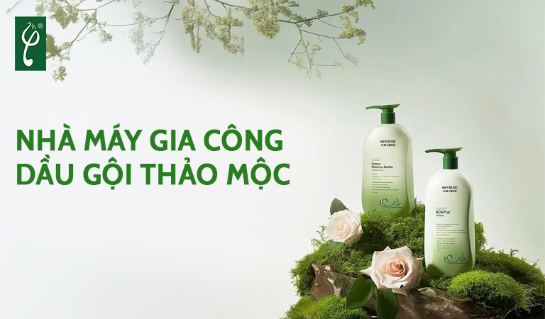 Nhà máy gia công dầu gội thảo mộc