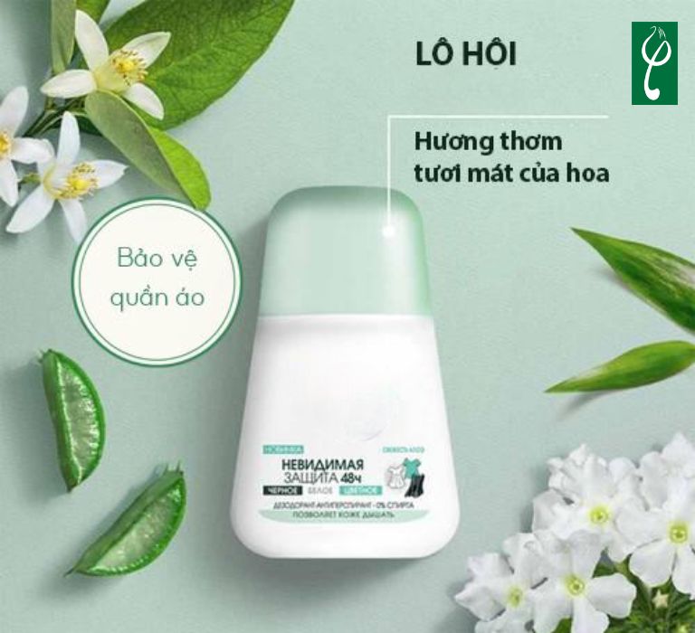 Gia công lăn khử mùi nha đam