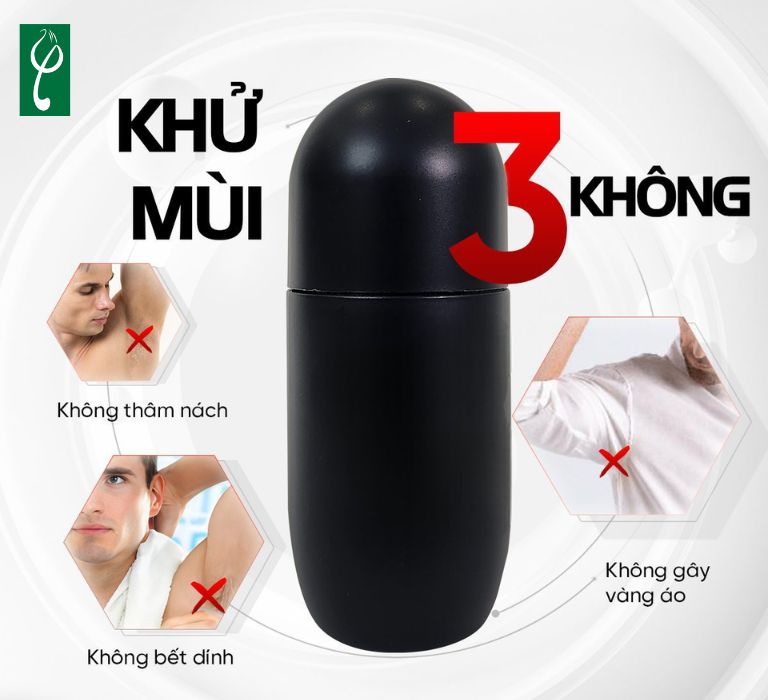 Gia công lăn khử mùi trà xanh có tiềm năng phát triển mạnh mẽ nhờ xu hướng tự nhiên, nhu cầu tăng cao