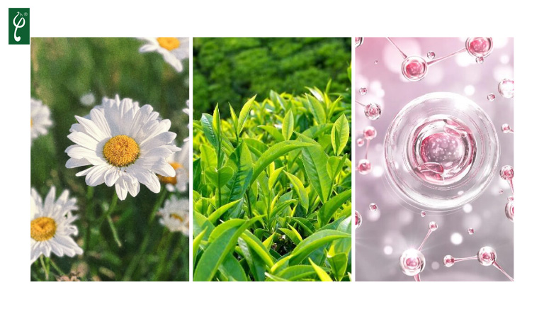 gia công lăn khử mùi dịu nhẹ