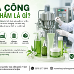 Gia Công Mỹ Phẩm Là Gì