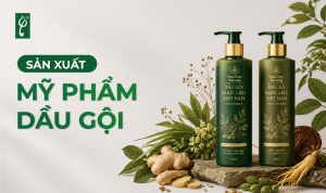 sản xuất mỹ phẩm dầu gội